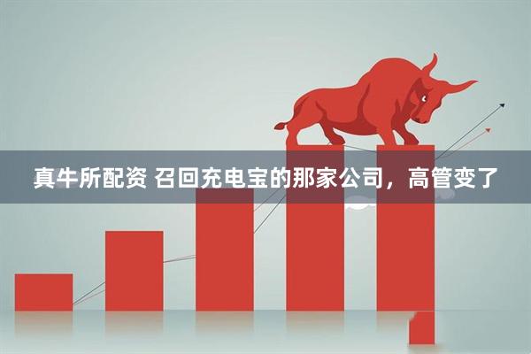 真牛所配资 召回充电宝的那家公司，高管变了