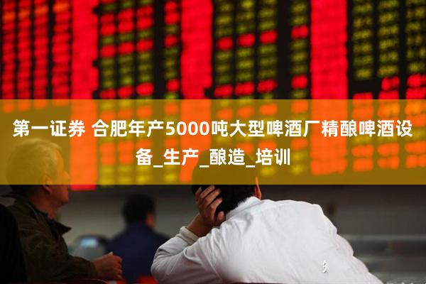 第一证券 合肥年产5000吨大型啤酒厂精酿啤酒设备_生产_酿造_培训