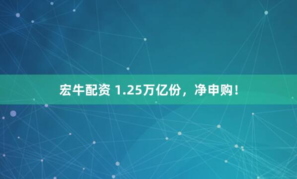 宏牛配资 1.25万亿份，净申购！