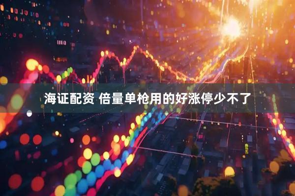 海证配资 倍量单枪用的好涨停少不了