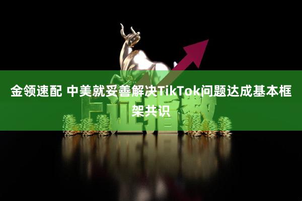 金领速配 中美就妥善解决TikTok问题达成基本框架共识