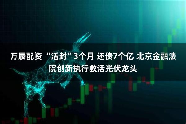 万辰配资 “活封”3个月 还债7个亿 北京金融法院创新执行救活光伏龙头