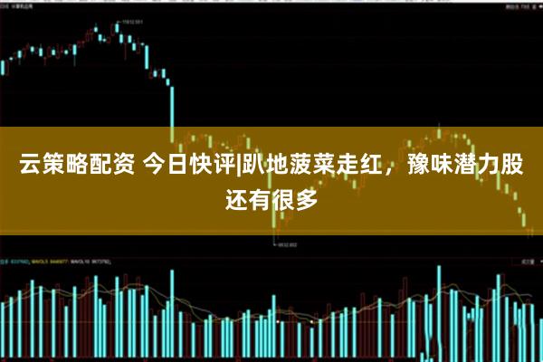 云策略配资 今日快评|趴地菠菜走红,豫味潜力股还有很多