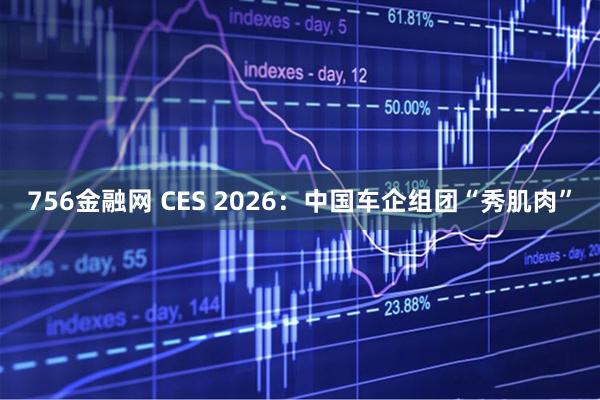756金融网 CES 2026：中国车企组团“秀肌肉”